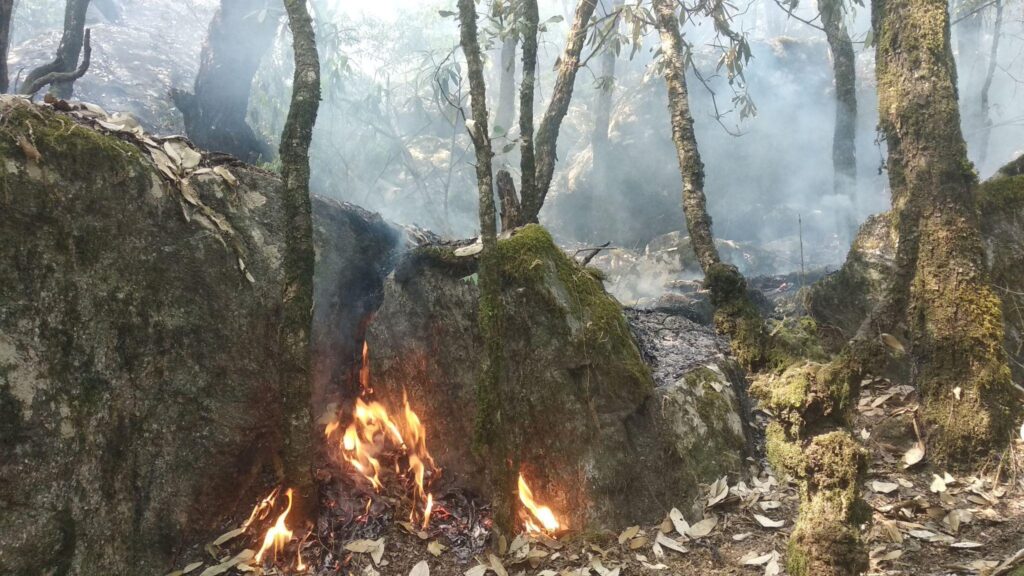 उत्तराखंड में बढ़ती जंगल की आग